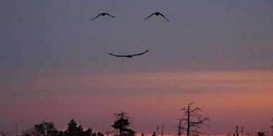 Smile from Heaven, Gesicht im Himmel, tantra