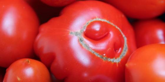 Obst, Tomate, Tantra